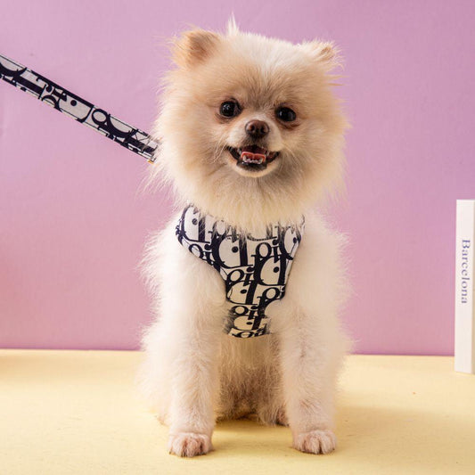 Dior harness and leash