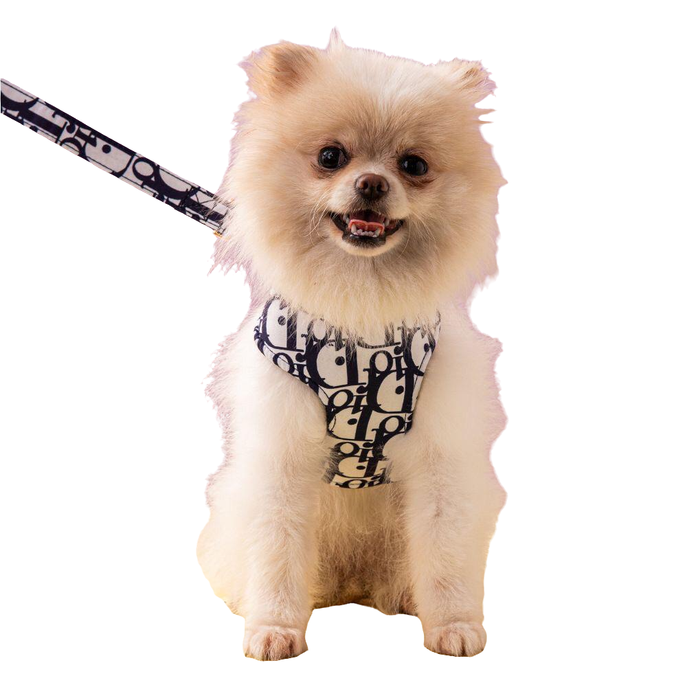 Dior harness and leash